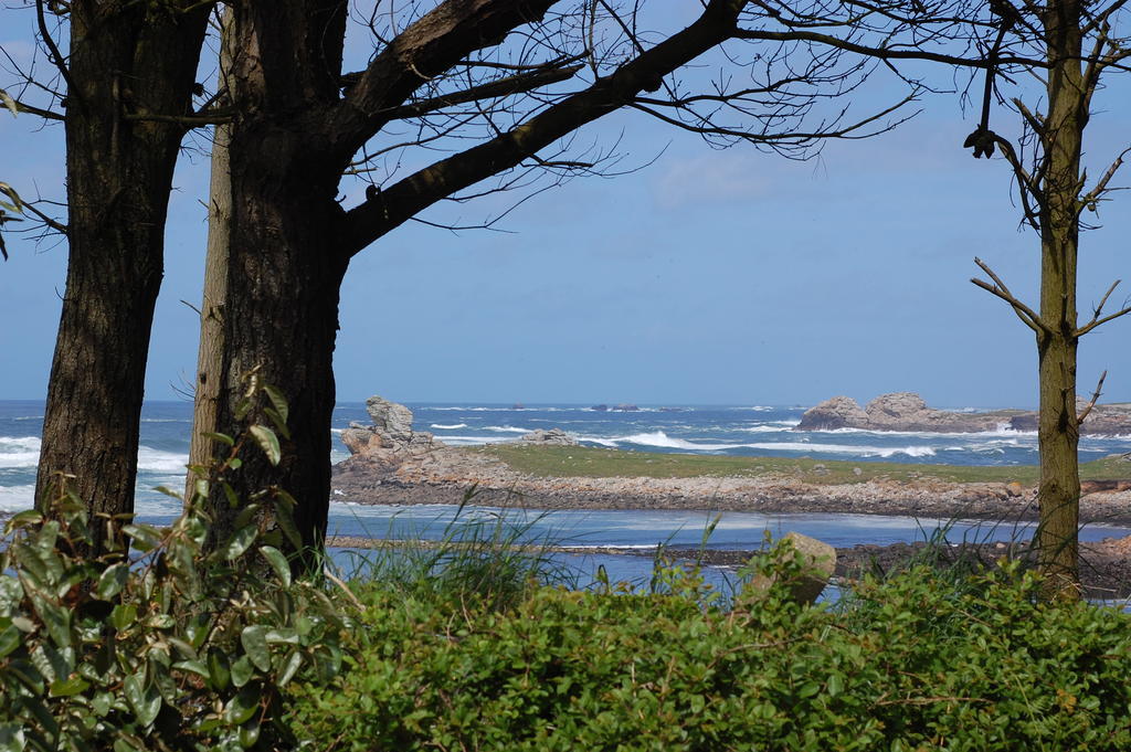 Roulotte Gites O Bien-Etre Massage Spa Sejour Bien-Etre En Hebergement Insolite Roulotte Karantez Ou En Gites Melon Ou Yock A 800 M Des Plages Maison D'Hote Drogou بورسبودير المظهر الخارجي الصورة